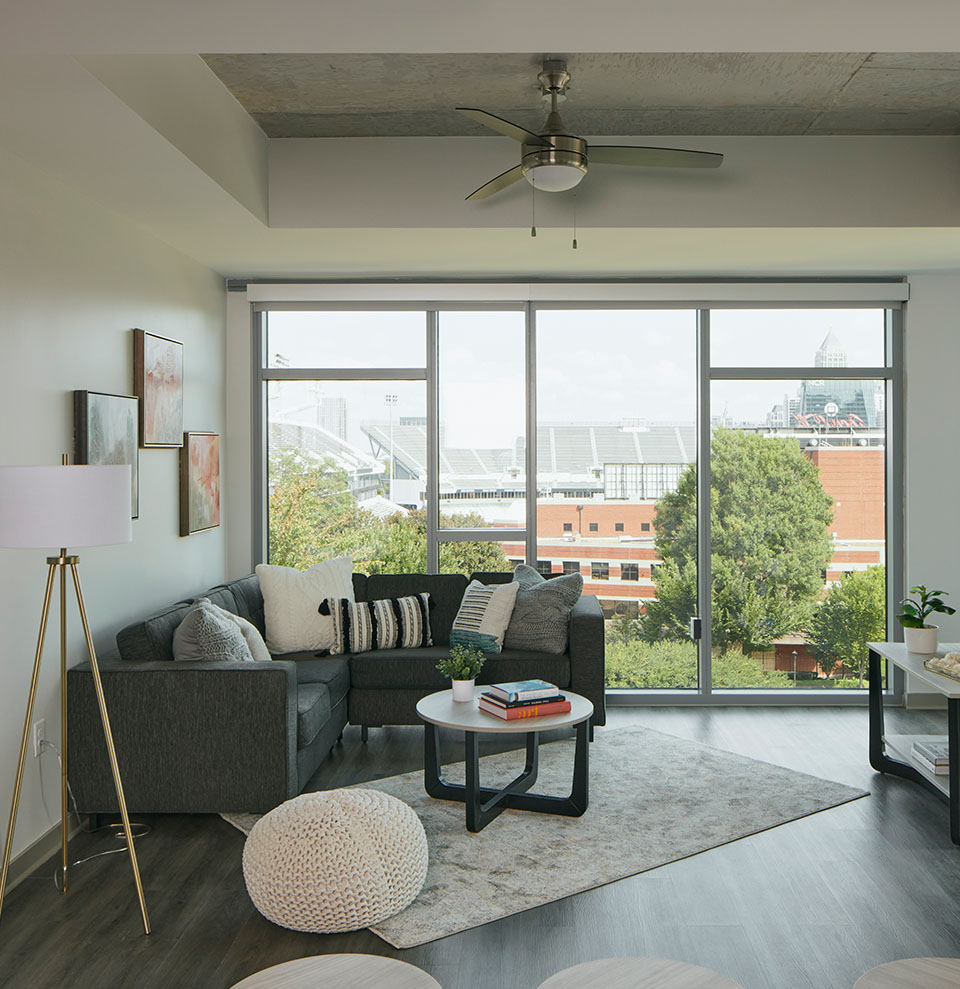 A furnished living room